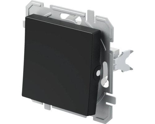 Schaltereinsatz mit Rahmen