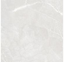 Hellgraue Fliese mit Marmoroptik