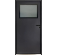 Graue Innentür mit Fenster und Griff