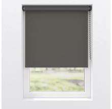 Dunkelgraues Rollo am Fenster