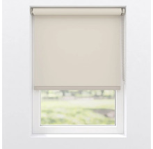 Rollo am Fenster zur Lichtregulierung