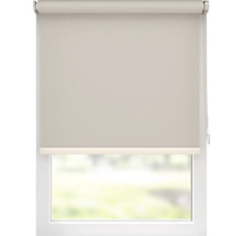 Blick auf ein Fenster mit Rollo für den Innenbereich