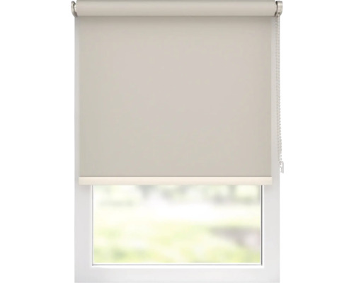 Blick auf ein Fenster mit Rollo für den Innenbereich