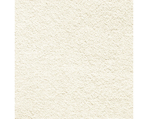 Teppichboden Shaggy Venezia sand FB30 400 cm breit (Meterware) Nahaufnahme einer Putzoberfläche