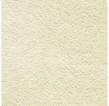 Nahaufnahme einer Putzoberfläche