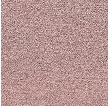 Nahaufnahme einer strukturierten Putzoberfläche