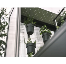 Nahaufnahme von Kräutern in Töpfen an einer Wand, die ein vertikales Gartensystem bilden.