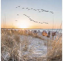 Strand mit Strandkörben, Gras und fliegenden Vögeln im Sonnenuntergang