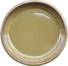 Keramikteller für den Esstisch