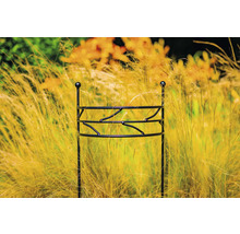 Pflanzenstütze aus Metall im Gartenbeet