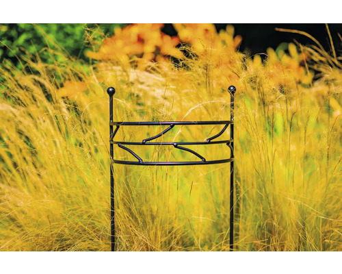 Pflanzenstütze aus Metall im Gartenbeet