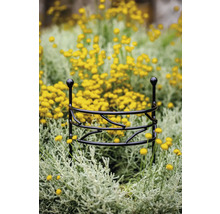 Pflanzenstütze aus Metall im Blumenbeet