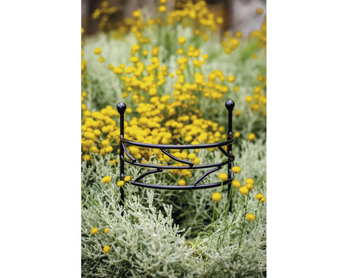 Pflanzenstütze aus Metall im Blumenbeet