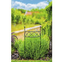 Garten mit Pflanzenstütze im Beet