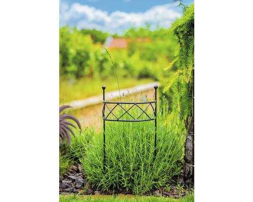 Garten mit Pflanzenstütze im Beet