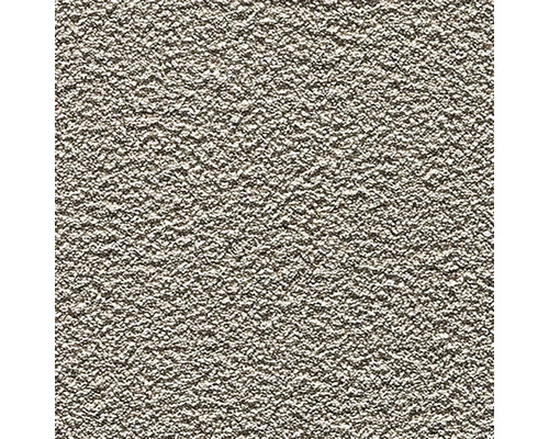 Teppichboden Comfy Vibe 400 cm breit (Meterware) Nahaufnahme einer Putzoberfläche