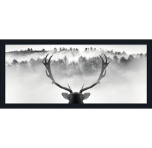 Gerahmtes Poster mit Geweih vor nebligem Wald