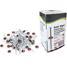 Gutta Nägel mit PE-Dichtung und Verpackung