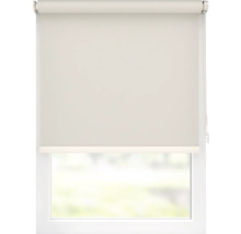 Fenster mit heruntergelassenem Rollo zur Lichtregulierung