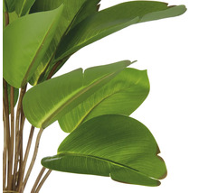 Nahaufnahme einer künstlichen Strelitzie mit grünen Blättern und braunen Stängeln.