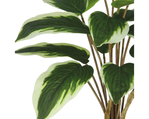 Künstliche Pflanze mit grün-weißen Blättern