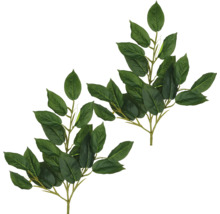 Zwei Zweige mit Blättern