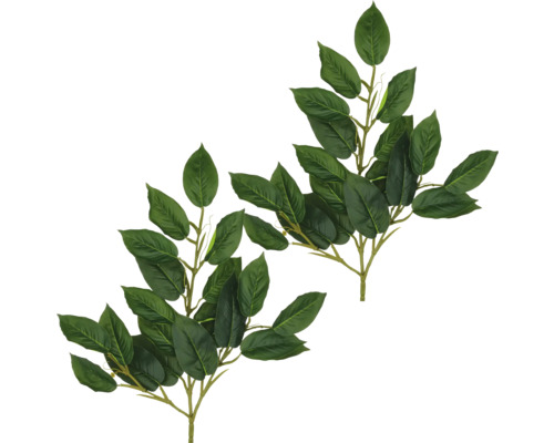 Zwei Zweige mit Blättern