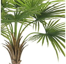 Detailaufnahme einer künstlichen Fächerpalme mit grünen Blättern