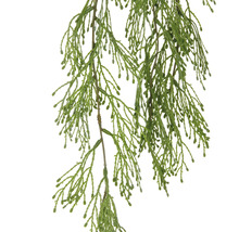 Künstliche Zypresse hängend zur Dekoration