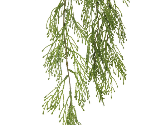 Künstliche Zypresse hängend zur Dekoration