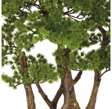 Nahaufnahme eines künstlichen Bonsai-Baums mit grünen Blättern und braunem Stamm.