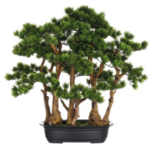 Dekorativer künstlicher Bonsai-Baum in einem schwarzen Topf