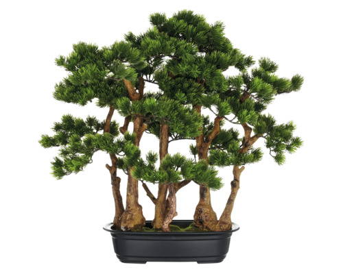 Dekorativer künstlicher Bonsai-Baum in einem schwarzen Topf