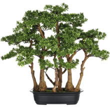 Künstlicher Bonsai-Baum in schwarzem Topf
