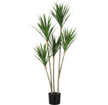 Künstliche Drachenbaum Pflanze im Topf