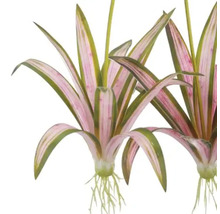 Künstliche Wasserpflanze mit Blättern