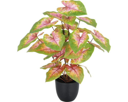 Künstliche Caladium Pflanze im Topf