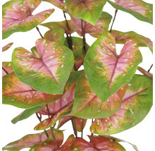 Künstliche Caladium Pflanze mit Blättern