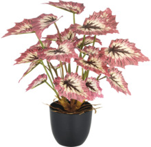 Künstliche Begonie im Topf als Dekoration