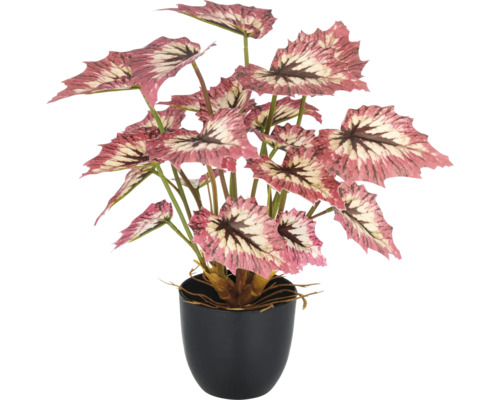 Künstliche Begonie im Topf als Dekoration