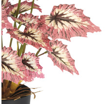 Künstliche Begonie im Topf zur Dekoration