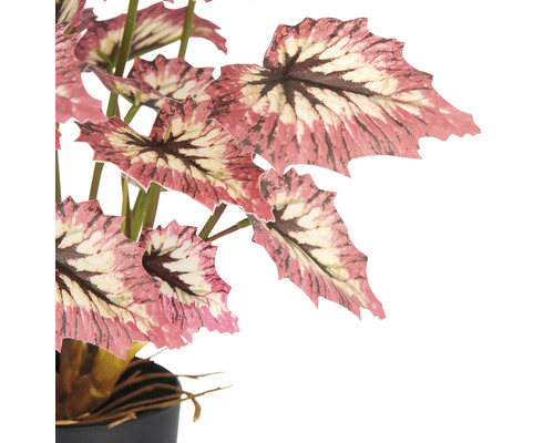 Künstliche Begonie im Topf zur Dekoration