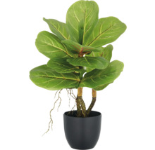 Künstliche Geigenfeige im schwarzen Topf