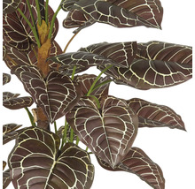 Künstliche Anthurie mit gemusterten Blättern