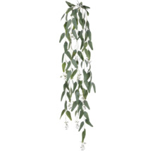 Eucalyptus-Girlande mit Blättern und Blütenständen