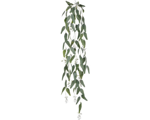 Eucalyptus-Girlande mit Blättern und Blütenständen