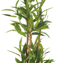 Künstlicher Eukalyptusbaum mit grünen Blättern und braunen Stämmen