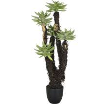 Künstliche Sukkulente im Topf als Zimmerpflanze