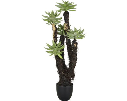 Künstliche Sukkulente im Topf als Zimmerpflanze