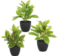 Drei künstliche Pflanzen in schwarzen Töpfen